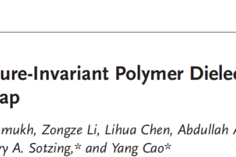 所見最佳柔性聚合物電介質(zhì)，適用于極端環(huán)境！