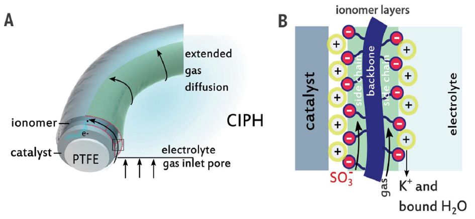 震撼！僅2個(gè)月，發(fā)表1篇Science，10余篇子刊/AM/JACS—加拿大兩院院士Sargent教授成果集錦