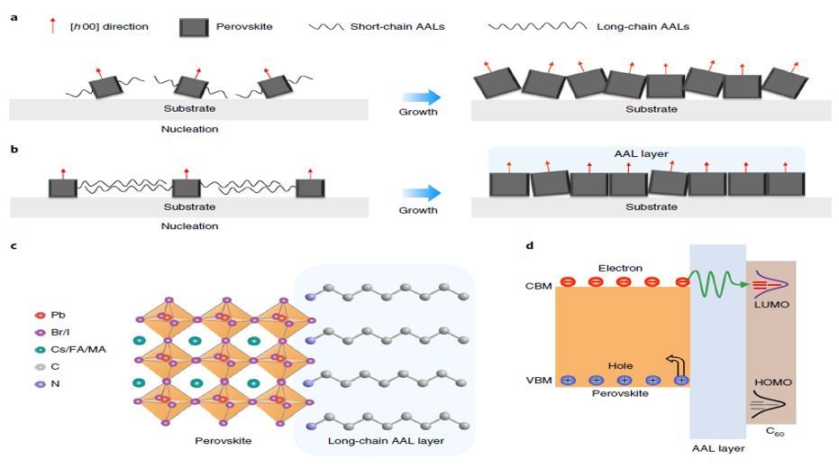 震撼！僅2個(gè)月，發(fā)表1篇Science，10余篇子刊/AM/JACS—加拿大兩院院士Sargent教授成果集錦