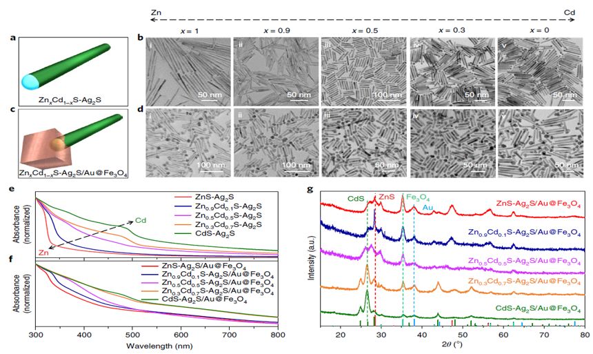 震撼！僅2個(gè)月，發(fā)表1篇Science，10余篇子刊/AM/JACS—加拿大兩院院士Sargent教授成果集錦