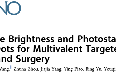 單分子有機熒光納米點在腫瘤成像與手術(shù)導(dǎo)航中的潛在應(yīng)用