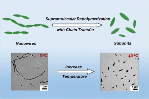 華東理工林嘉平教授團隊在多級納米線的超分子解聚取得新進展