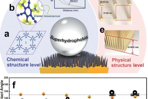 中科院青能所黃長水《Small》：超穩(wěn)定超疏水石墨炔陣列，800天接觸角基本無變化！