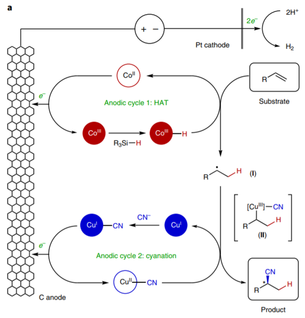 美國康奈爾大學(xué)林松團隊《自然·化學(xué)》:電驅(qū)動雙金屬催化共軛烯烴氫氰化反應(yīng)