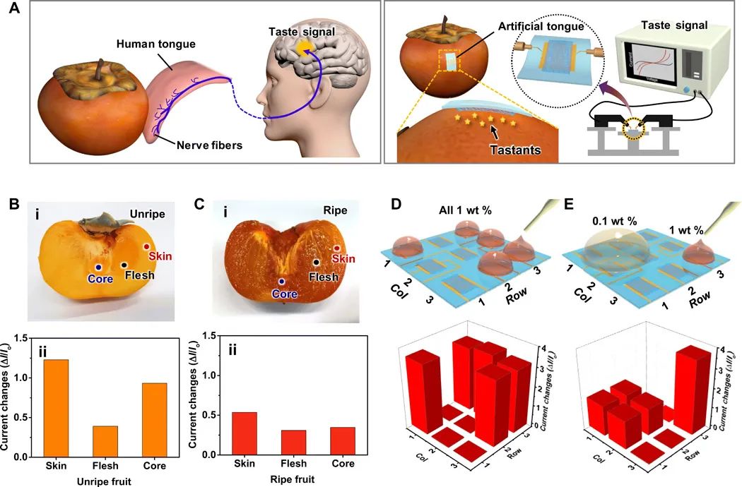 機(jī)器人也能“品味人生”？“人造舌頭”登上《Science》子刊，可“品嘗苦澀、分辨生熟”