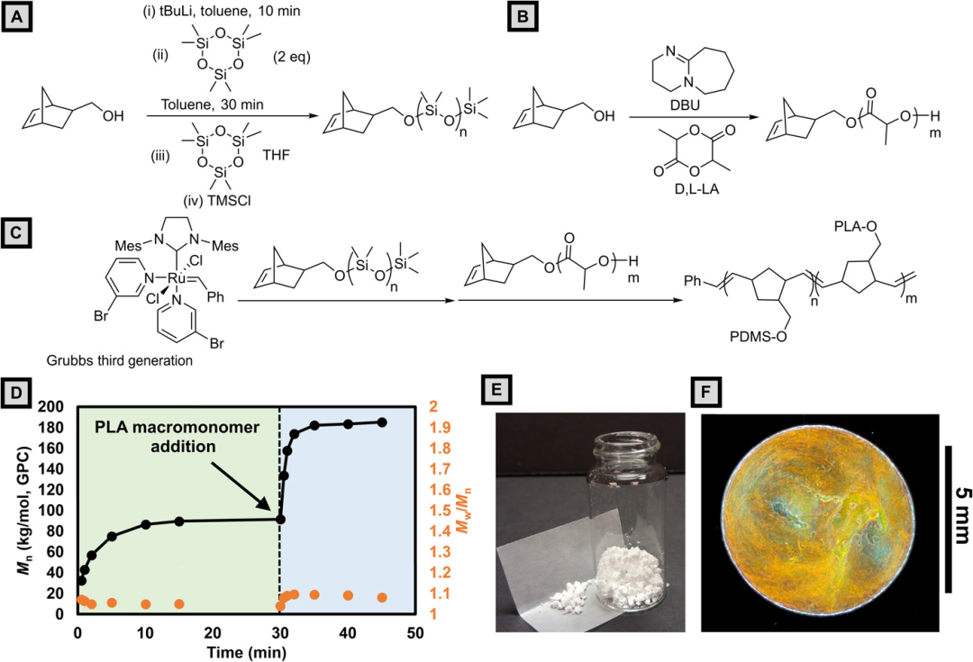 《Science》頭條：3D打印結構色