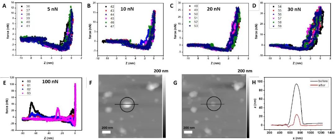 匹茲堡大學(xué)劉海濤/哈佛大學(xué)尹鵬《ACS Nano》：低密度，高強度的3D獨立DNA納米結(jié)構(gòu)雜化材料