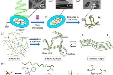 微納米纖維“邂逅”溫敏水凝膠，實現(xiàn)水下超快自恢復性能
