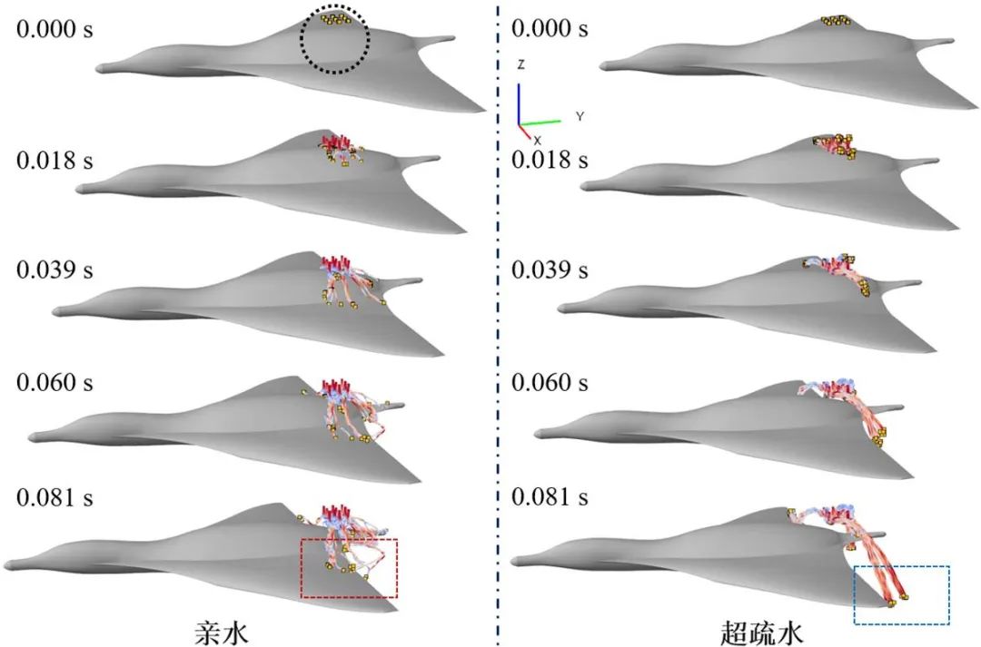 吉林大學(xué)任露泉院士團(tuán)隊(duì)：跨介質(zhì)飛行器仿生基礎(chǔ)理論研究——利用移動(dòng)各向異性超疏水表面誘導(dǎo)液滴定向翻滾實(shí)現(xiàn)附著水高效脫附