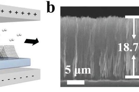 北京大學(xué)張錦院士團(tuán)隊(duì)：垂直排列的石墨烯陣列！散熱技術(shù)新突破