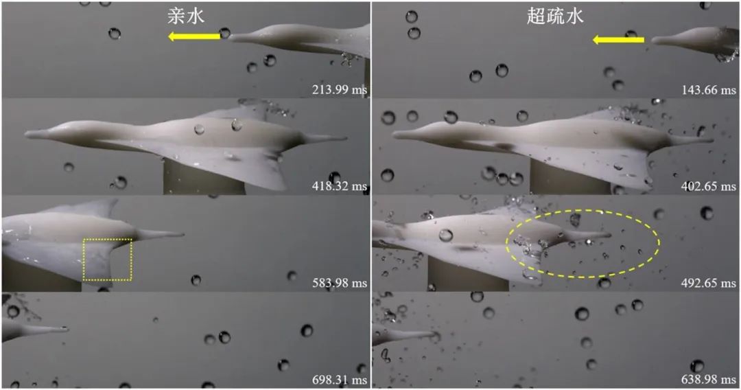 吉林大學(xué)任露泉院士團(tuán)隊(duì)：跨介質(zhì)飛行器仿生基礎(chǔ)理論研究——利用移動(dòng)各向異性超疏水表面誘導(dǎo)液滴定向翻滾實(shí)現(xiàn)附著水高效脫附