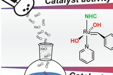 《JACS》：“開環(huán)易位聚合”像炒菜，加點鹽可控性更好！