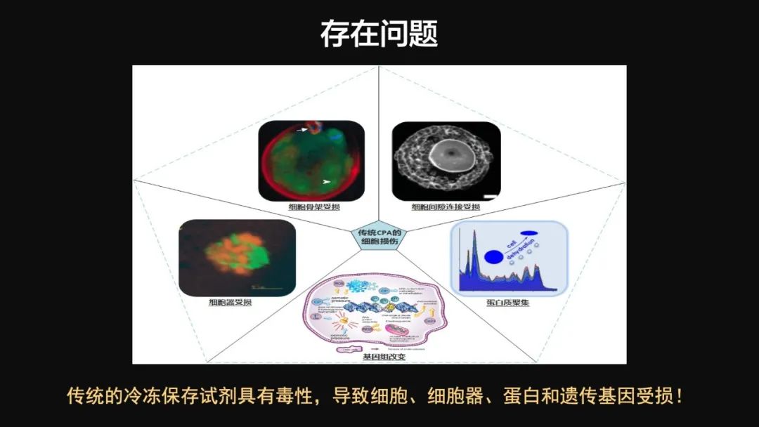 王健君：實(shí)證百年科學(xué)猜想，人體凍存未來可期