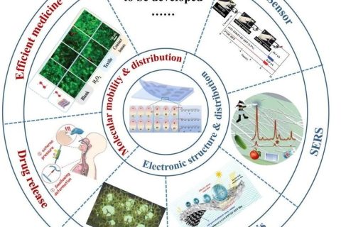 多孔薄膜的壓電-介電耦合研究，實(shí)現(xiàn)發(fā)電性能提升