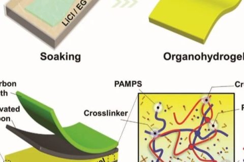 電子設(shè)備怕凍又怕燙怎么辦？中南大學(xué)《AFM》：長期抗凍抗干的柔性超級電容器！