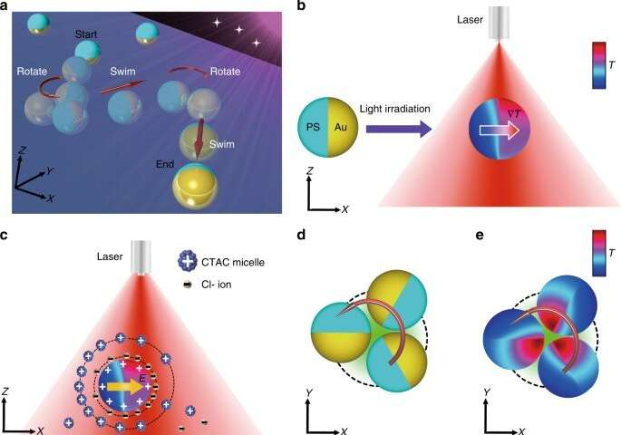 德克薩斯大學鄭躍兵團隊：光-熱電微型游泳器件助力靶向給藥