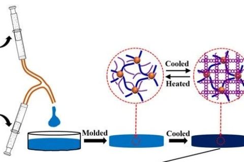 自抗菌、自粘附、可修復、可注射、耐酸耐堿的DN水凝膠粘附敷料