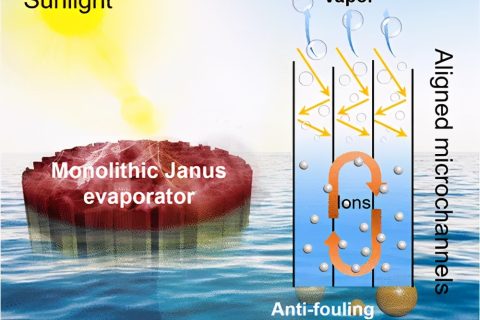 具有防污和減鹽特性的自給自足的Janus氣凝膠，用于穩(wěn)定日光蒸發(fā)