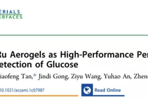 成都信工大李賀：B,N 摻雜 PdRu 氣凝膠靈敏檢測葡萄糖