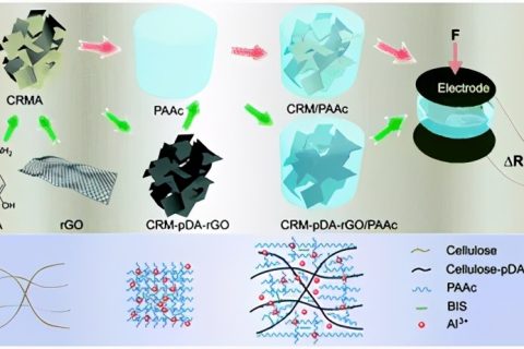 木質(zhì)纖維素/石墨烯氣凝膠調(diào)節(jié)動(dòng)態(tài)壓阻響應(yīng)的軟水凝膠觸覺(jué)傳感器