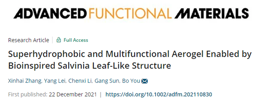 復(fù)旦大學(xué)游波教授《AFM》：仿生丹參葉狀結(jié)構(gòu)的超疏水多功能氣凝膠！